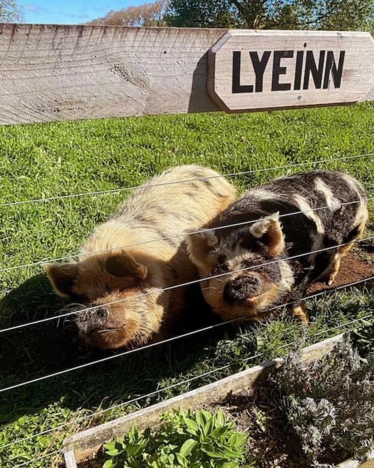 Lyeinn - Newstead Country Retreat エクステリア 写真
