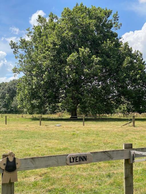Lyeinn - Newstead Country Retreat エクステリア 写真