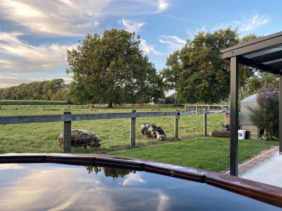 Lyeinn - Newstead Country Retreat エクステリア 写真